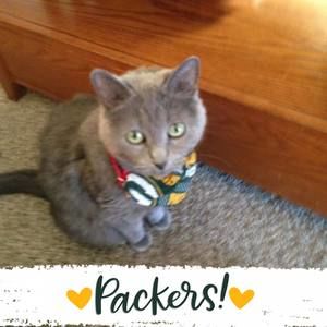 Meet your Posher, Beth